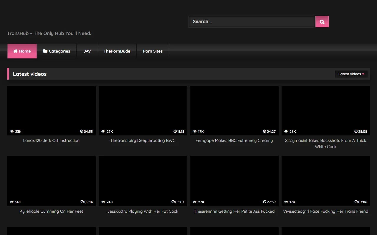 Screenshot: Transhub Screenshot of Transhub
